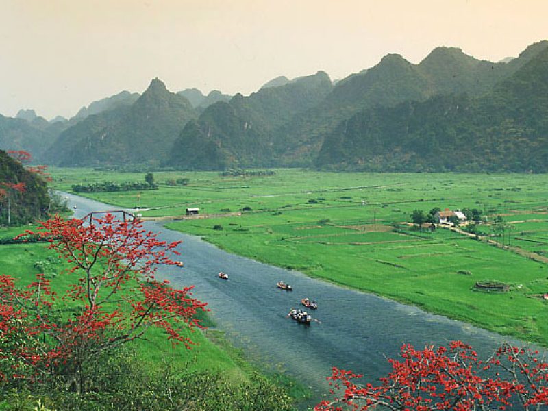 hoa lu tam coc 1 day