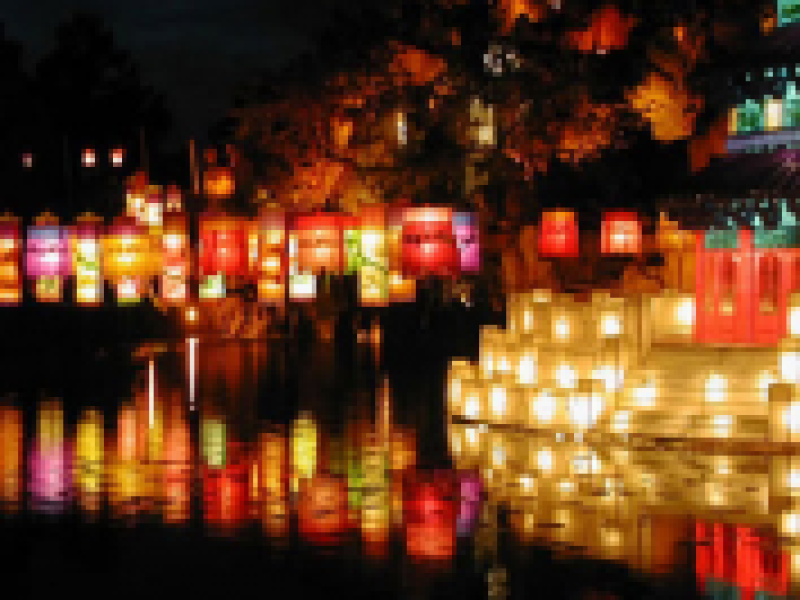 hanoi halong hue hoi an ho chi minh saigon 12days 11 nights